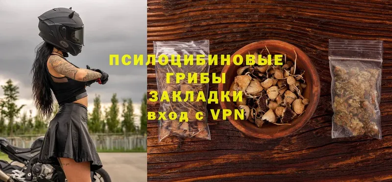 МЕГА ссылки  Курск  Галлюциногенные грибы Psilocybe 