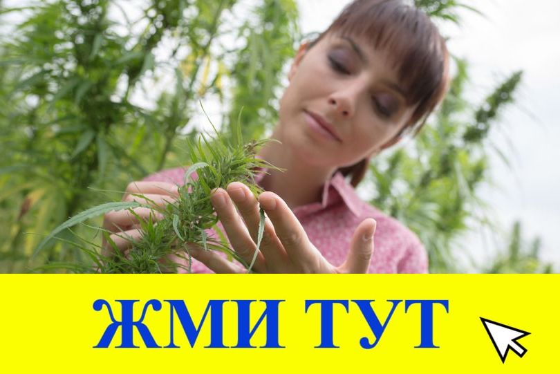 Купить наркотики в Курске